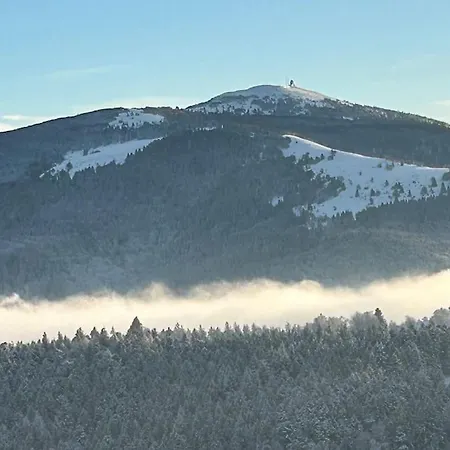 Daire Un Coin De Montagne *
