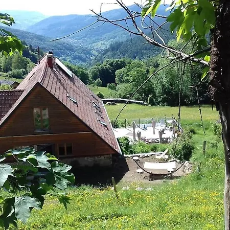 Un Coin De Montagne Daire Linthal