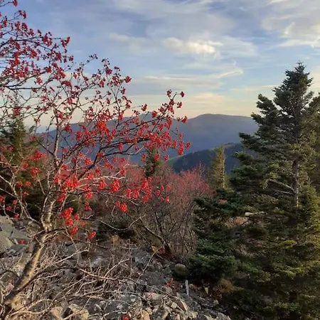 Daire Un Coin De Montagne *