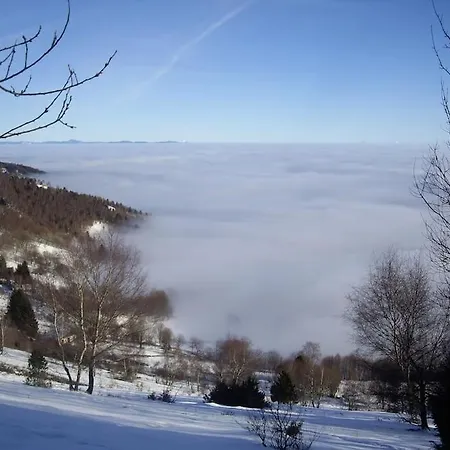 Daire Un Coin De Montagne Linthal