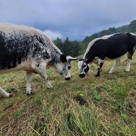 Daire Un Coin De Montagne *